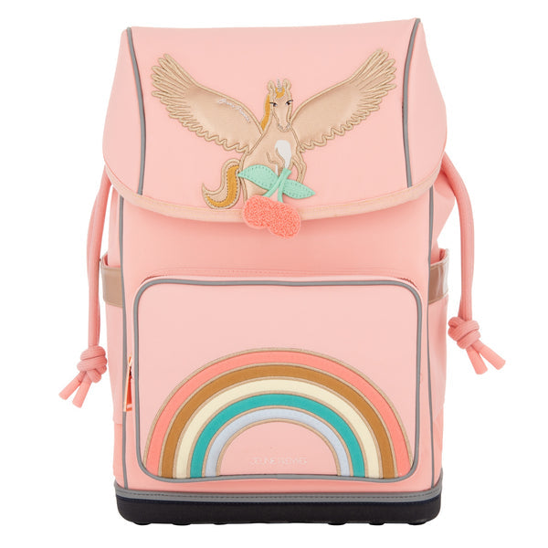 Рюкзак Backpack Ergomaxx - Pegasus